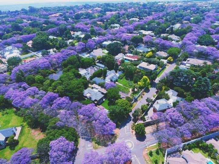 Bougainvilla Aftreeoord-8